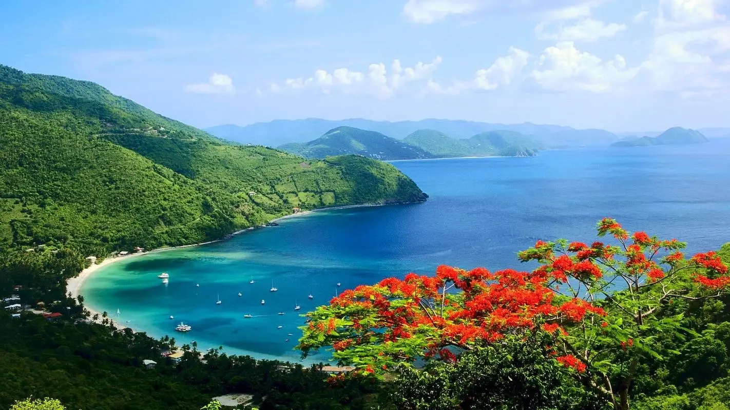智能高质量